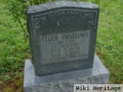 Ellen C Speck Swallows