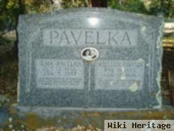 William Pavelka