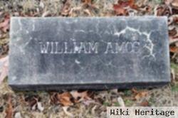 William Amos