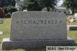 Albert B Schauweker