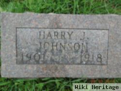 Harry J Johnson