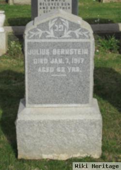 Julius Bernstein