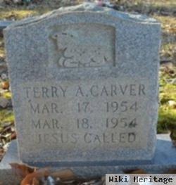 Terry A Carver