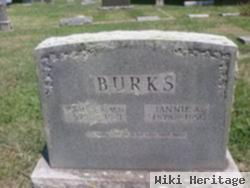 Dr James Anderson Burks