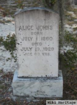 Alice Reynolds Johns