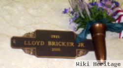 Lloyd Bricker, Jr