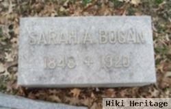 Sarah Ann Chambers Bogan