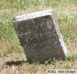 Emily J Arnold