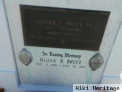 Lester Joseph Bruce, Sr.