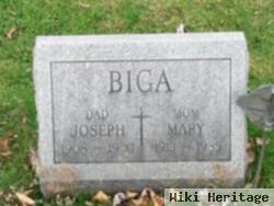 Mary Kaschak Biga