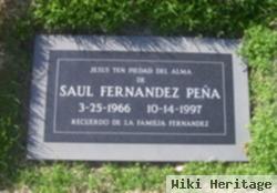 Saul Fernandez Pena