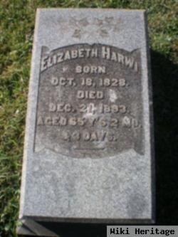 Elizabeth Ruch Harwi