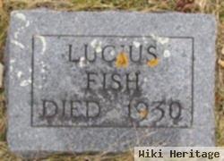 Lucius Fish