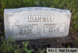 Goldsmith Hammer