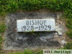 Robert Eugene Bishop