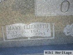 Mary Elizabeth Chambers Ogle