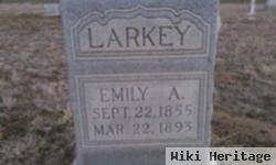 Emily Ann Melton Larkey