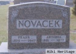 Frank Novacek