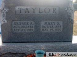 Mary S Taylor