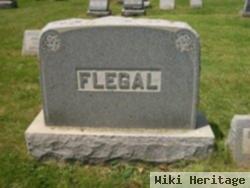 Infant Flegal