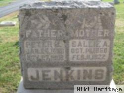 Peter Silas Jenkins