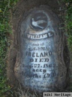 William L. Ireland