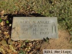 Alice N. Angel Furr