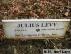 Julius Levy