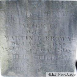 Martin Z Brown