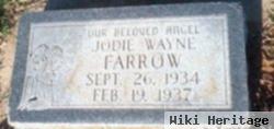 Jodie Wayne Farrow