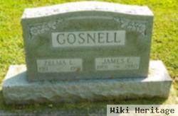 James E. Gosnell