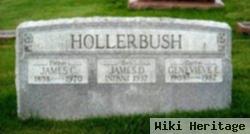 James D. Hollerbush