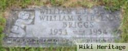 William Edward Briggs, Jr