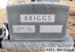 Jerry Lee Briggs