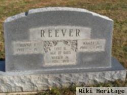 Walter A Reever, Jr