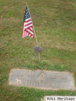 Wayne Levi Hangey