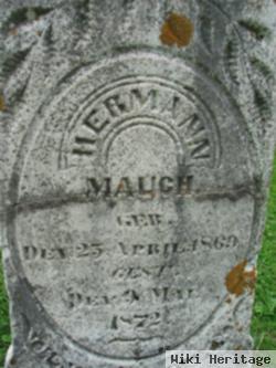 Hermann Mauch