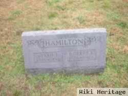 Robert Levi Hamilton