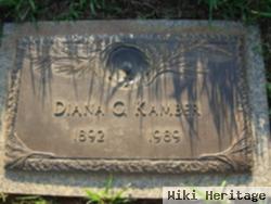 Diana G Joseph Kamber