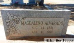 Magdaleno Alvarado