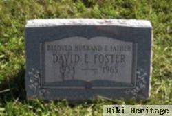 David E Foster