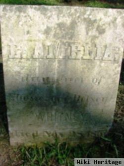 E Amelia Whitney