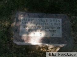 Harry Yale Koin