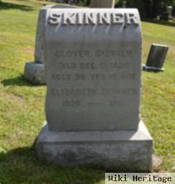 Elizabeth Wiggin Skinner