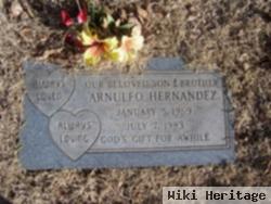 Arnold Flores Hernandez