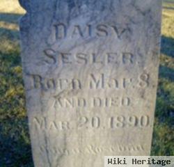 Daisy Sesler