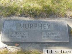 Autry D Murphey