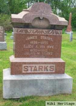 Eliza A. Lee Starks