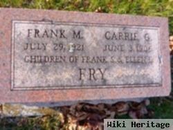 Frank M. Fry