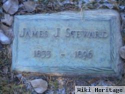 James J. Steward